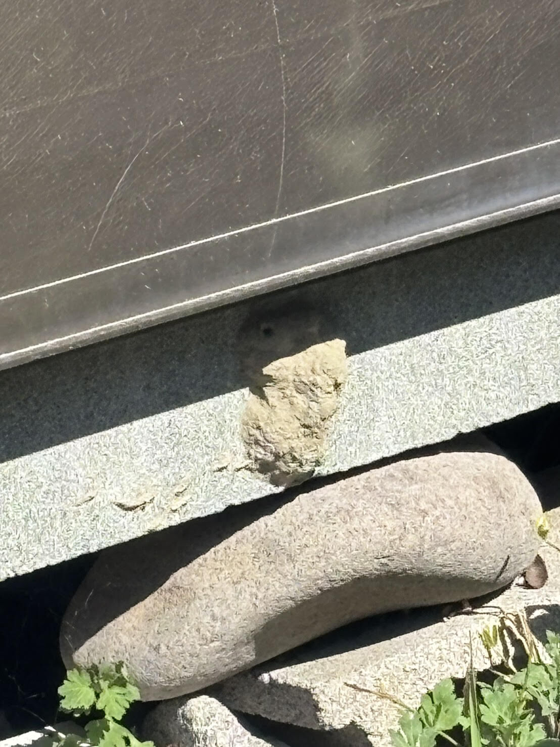 札幌市北区｜ご自宅にできたドロバチの巣を迅速駆除。泥の巣の特徴と自力撤去の危険性をご紹介