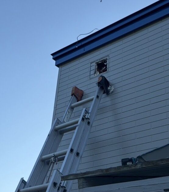 札幌市厚別区｜見えない屋根裏に15cmのハチの巣が！換気口から侵入したキイロスズメバチを30分で完全駆除した施工事例と、キイロスズメバチの特徴についてご紹介