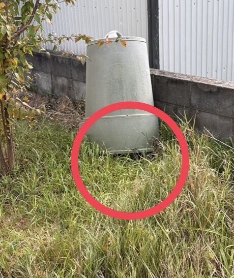 札幌市南区｜庭先のコンポストにハチの巣！クロスズメバチを1時間で完全駆除した施工事例と、クロスズメバチの生態についてご紹介