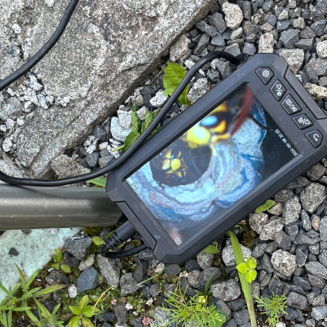 札幌市豊平区｜自宅ブロック塀の中にキイロスズメバチの巣！カメラで内部調査して安全に無事駆除作業を完了